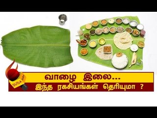 ஈ.ஜி.சி.ஜி  ! வியக்க வைக்கும் வாழை இலை