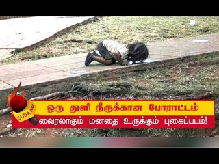 சமூக வலைதளங்களில் வைரலாகும் குழந்தையின் புகைப்படம்!