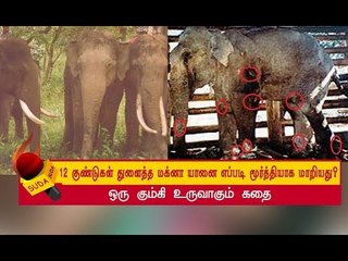 சதையைத் துளைத்து உள்நுழைந்த அந்த 12 குண்டுகள்! | அத்தியாயம் 3