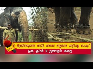 20  பேரை கொன்று குவித்த  மூர்த்தி யானை ! | அத்தியாயம் 6
