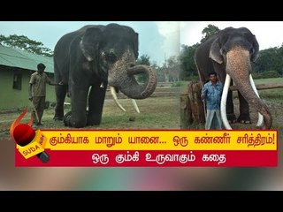 மாவூத்தின் குச்சிக்கு அடிபணியும்போது, கும்கியாகிறது ஒரு கொம்பன்! | அத்தியாயம் 7