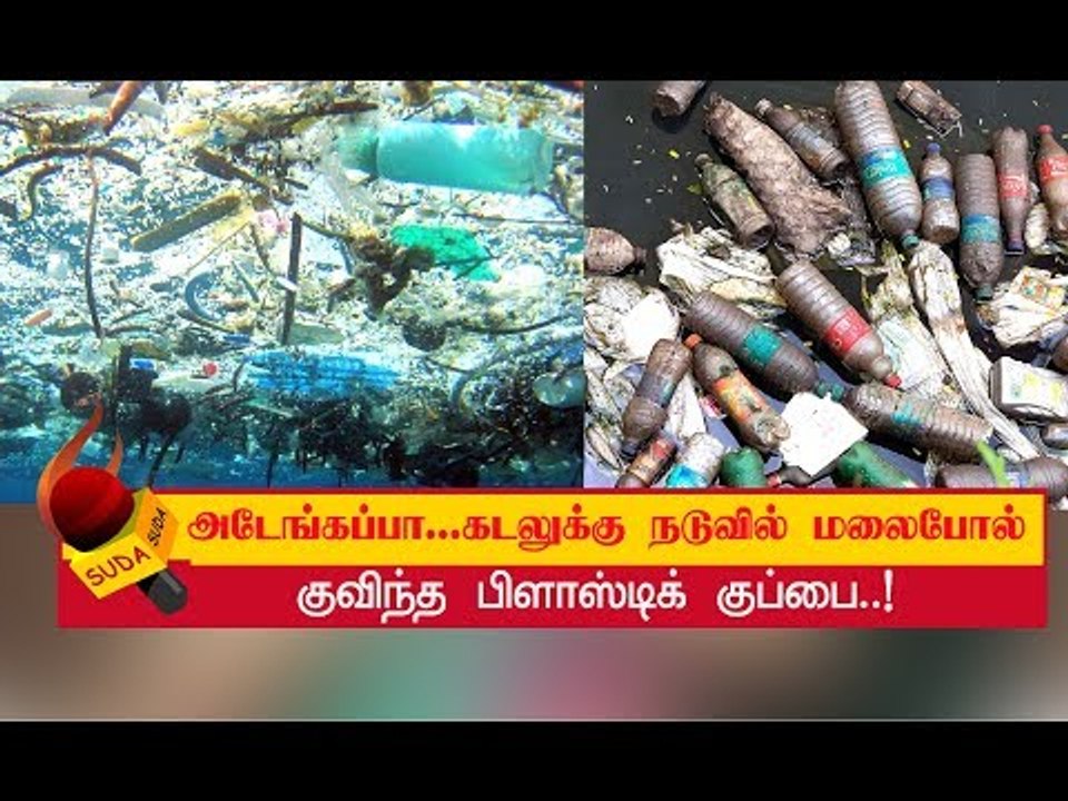 நடு கடலில் உயிர் பலி வாங்கும் பிளாஸ்டிக் குப்பைகள்!
