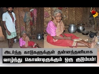 வயது 105...வாழ்வது காட்டுக்குள்...வியக்கவைக்கும் பாட்டி!