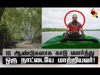 யார் இந்த மாங்குரோவ் மாஸ்டர்?