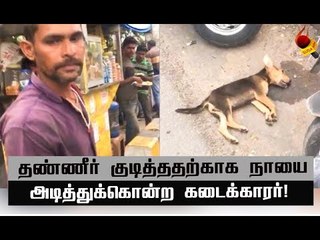 நாயை தூக்கி வீசிக் கொன்ற கடைக்காரரின் கொடூரமான செயல்!