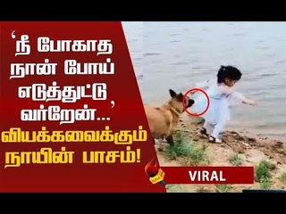 4 Million views... 2 Lakh Likes! நாயின் நேசத்தால் வைரலான வீடியோ!