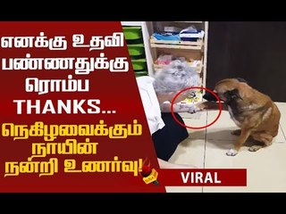 1.24 Million Views...ஒரு லட்சம் Likes... நாயின் நன்றியுணர்வு... வைரலான வீடியோ!