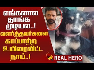 உரிமையாளருக்காக வீர மரணம் அடைந்த வளர்த்த நாய்..!