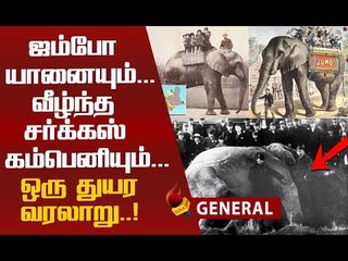 சர்க்கஸ் உலகின் ராஜா...“ஜம்போ” யானையின் கண்ணீர் கதை..!