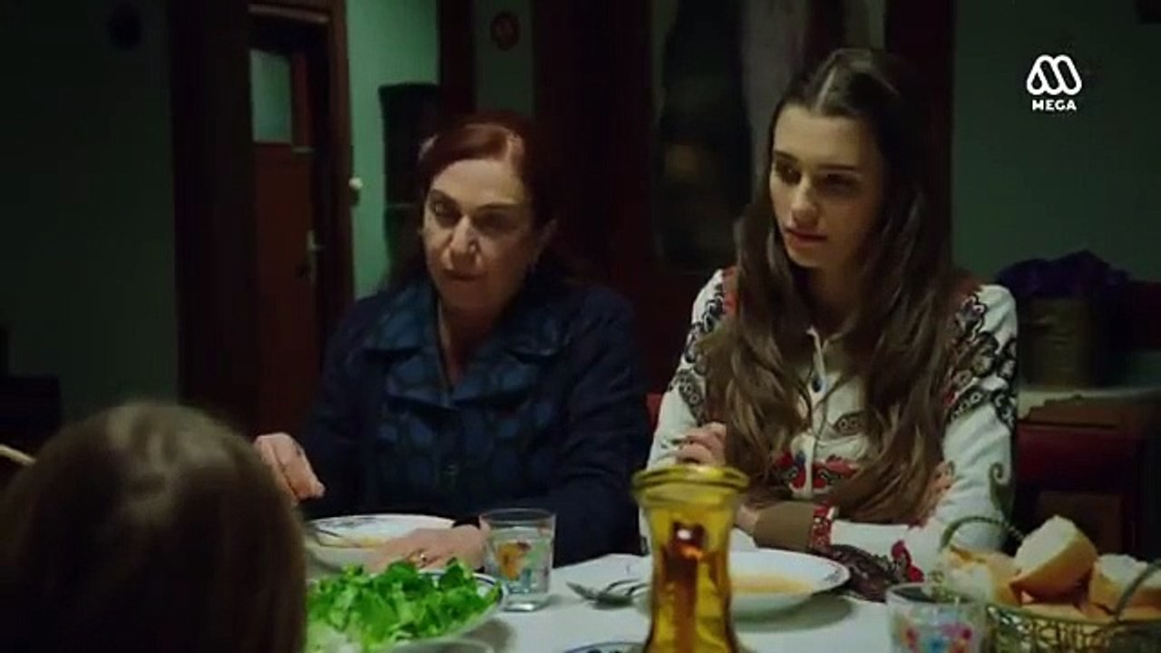karadayi 165 En Espanol