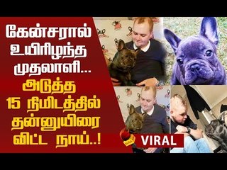 இவ்வளவு விசுவாசமான நாயா..?! கலங்கவைக்கும் உண்மை கதை