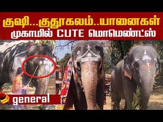 யானைகள் பிரியாவிடை..கோவை யானைகள் முகாம் ! | Cute elephant Video