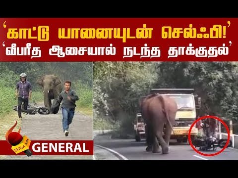 சாமர்த்தியமாக இளைஞர்களின் உயிரைக் காப்பாற்றிய லாரி டிரைவர்!