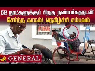 காகத்தை பார்த்த மகிழ்ச்சியில் மறைந்த கொரோனா சோகம்...!