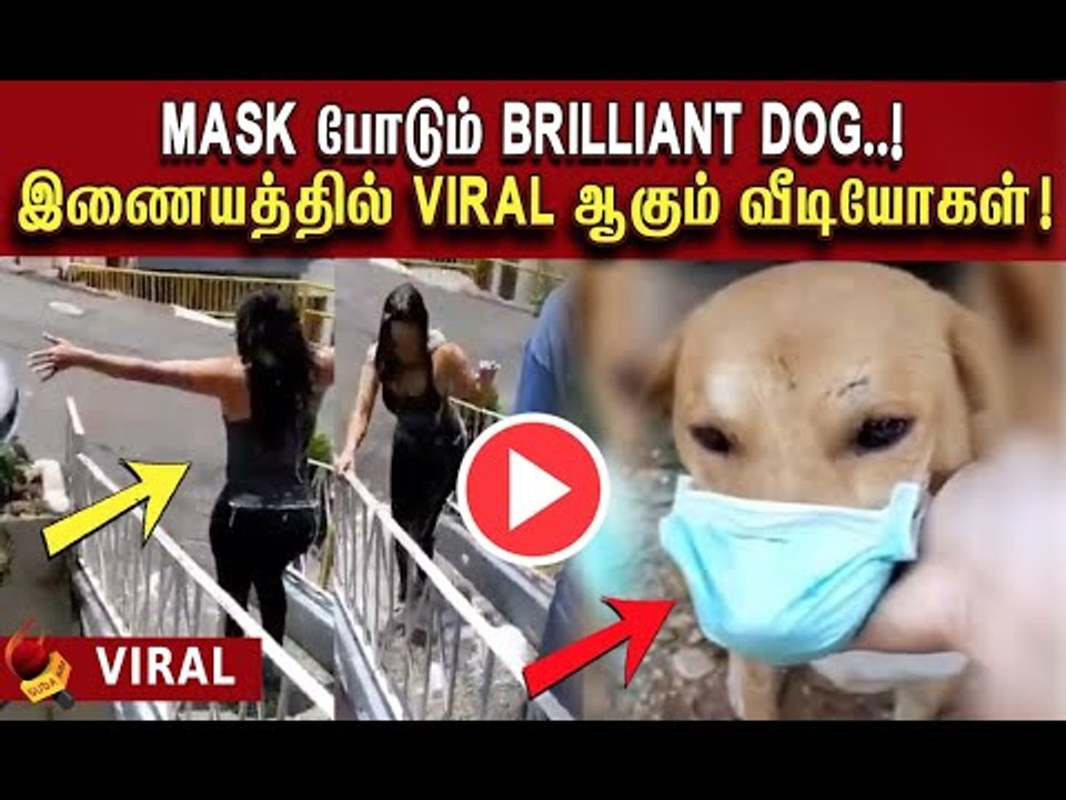 கொரோனா அச்சம் : இணையத்தில் ட்ரெண்ட் ஆகும் வைரல் வீடீயோக்கள் ! #ViralVideos #Viral