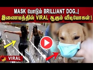 கொரோனா அச்சம் : இணையத்தில் ட்ரெண்ட் ஆகும் வைரல் வீடீயோக்கள் ! #ViralVideos #Viral