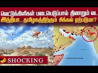 அழியும் விவசாய நிலங்கள் ...என்ன செய்யப்போகிறது இந்தியா ?