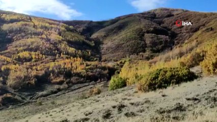 Jandarma 100 kilogram patlayıcı madde ele geçirdi...İmha anı kamerada