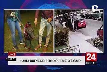 Lince: habla dueña del perro que mató a gato