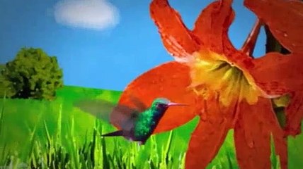 The Secret Life of the American Teenager S03E11 Lady Liberty