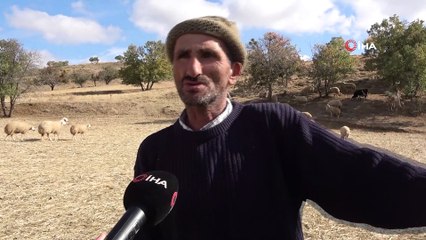 Kayıp koyun sürüsü drone ile bulundu