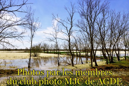 AGDE - Le diaporama de confinement du club Photo de la MJC