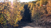 Tunceli’de 'Kar ve sonbahar' görsel şölen sundu