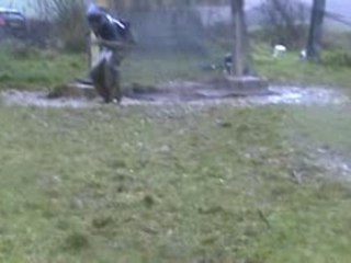 training paintball othis