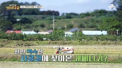 '언제 그 분(?)을 만난 거야?" 이혼 전문가(?) 엄용수가 김구라를 부러워하는 이유?