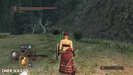 Dark Souls 2 Guia #21 - ENSENADA PIEDRA BRILLANTE TSELDORA -CanalRol 2020