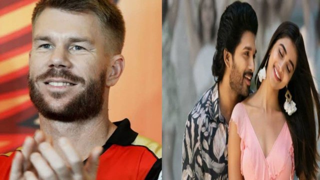 David Warner Will Do Butta Bomma Dance If Sunrisers Hyderabad Win IPL 2020 Title | DC vs SRH