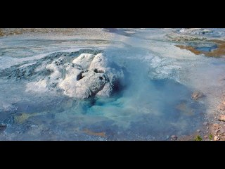 A man was banned from Yellowstone after trying to fry chicken in a hot