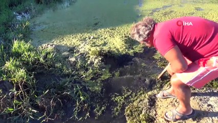 Silivri’de tedirgin eden balık ölümleri