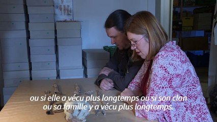 En Allemagne, découverte de la "dame de Bietikow", âgée de plus de 5.000 ans