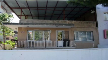 Bir evin girişini saran çok sayıda karınca ilginç görüntü oluşturdu - AYDIN