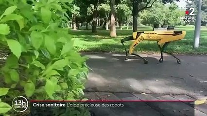 Crise sanitaire : des robots viennent en aide aux soignants