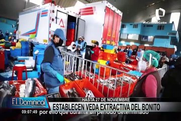 Establecen veda extractiva del bonito desde el 9 hasta el 27 de noviembre