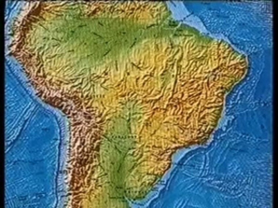 Le cane corso et le dogue argentin (partie 1)