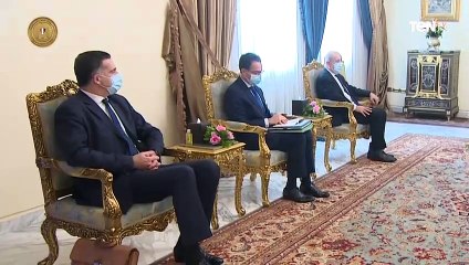 نشاط السيد الرئيس عبد الفتاح السيسي خلال اليوم ٢٠٢٠_١١_٨
