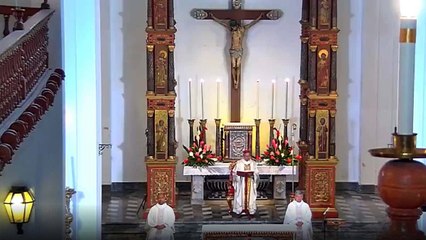 Misa dominical / noviembre 8 de 2020.