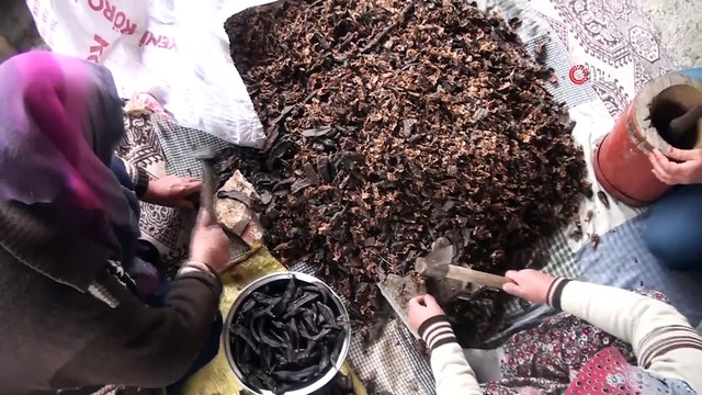 Şifa Kaynağı Keçiboynuzu Pekmezi Kadınların Geçim Kaynağı Oldu