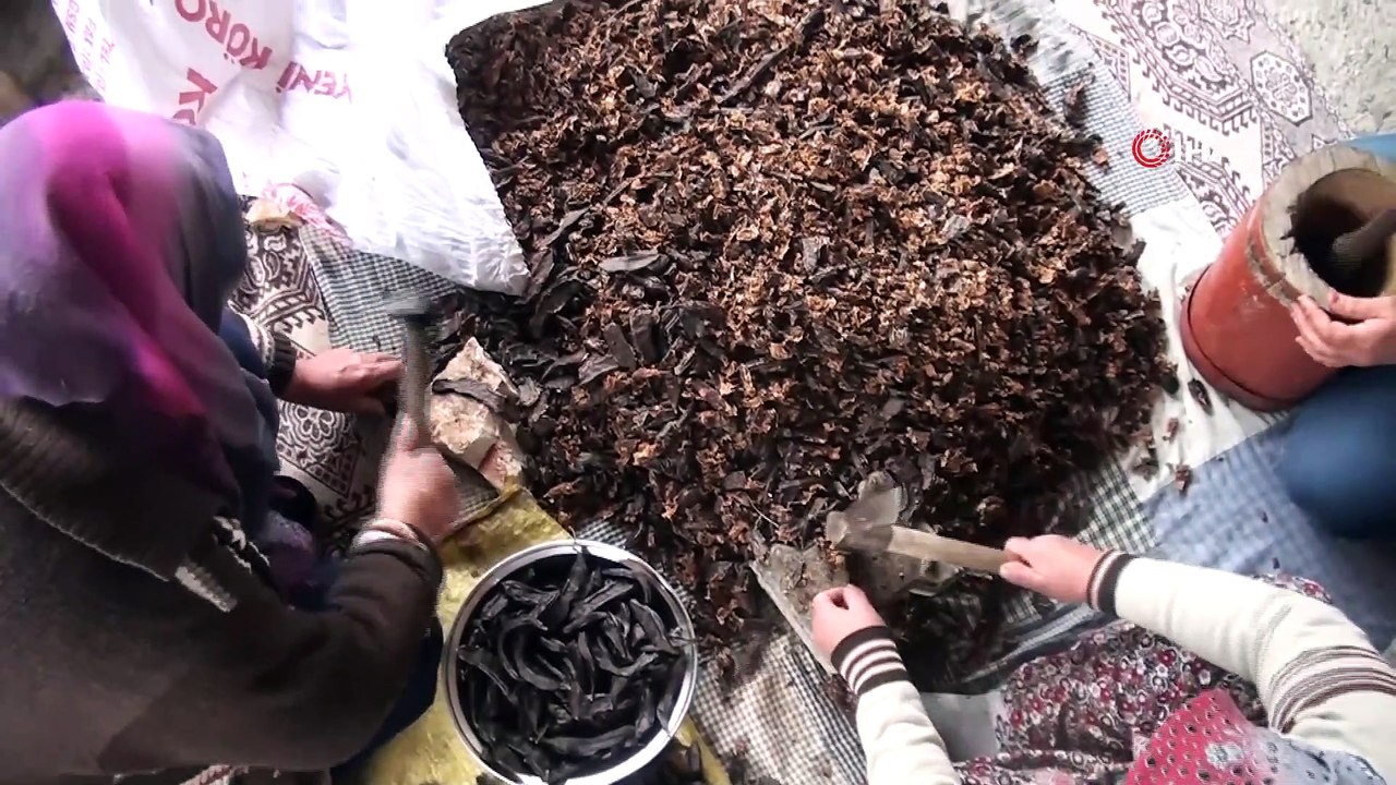 Şifa Kaynağı Keçiboynuzu Pekmezi Kadınların Geçim Kaynağı Oldu