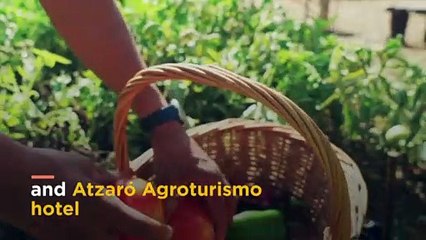 Inside the luxury farm in Ibiza where you can watch your dinner grow