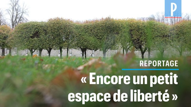 Parcs et jardins restés ouverts : Ca fait la différence avec le premier confinement