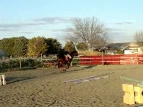 Némé agathe obstacle fev