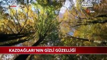 Kazdağları'nın Gizli Güzelliği