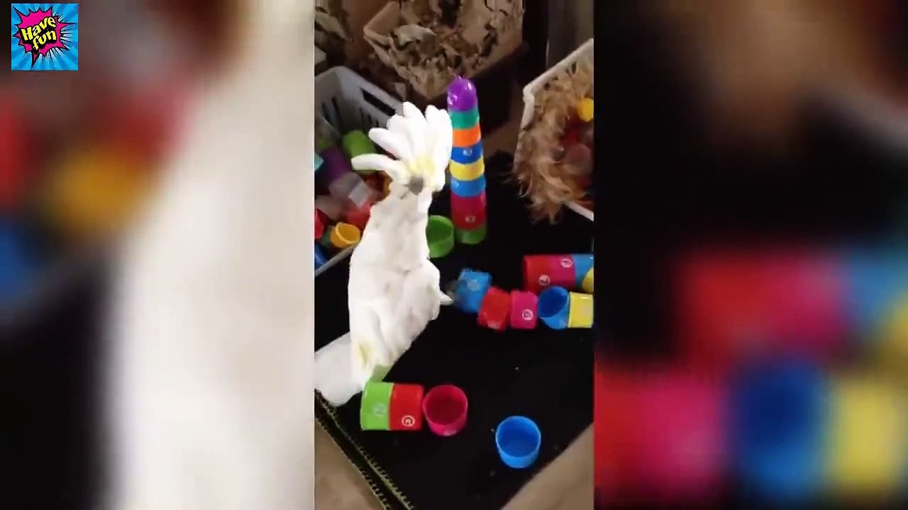 TRY NOT OT LAUGH ---- 2020 Funny Fails