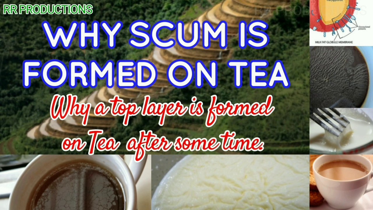 WHY SCUM IS FORMED ON TEA | Why a layer is formed on Tea after some ...