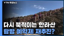 다시 북적이는 한라산...탐방 예약제 재추진? / YTN