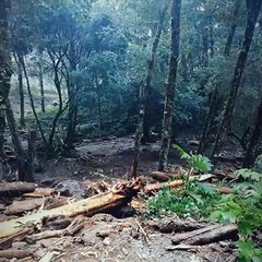 Estragos que dejó ETA a su paso por Chiriquí, Panamá.. 